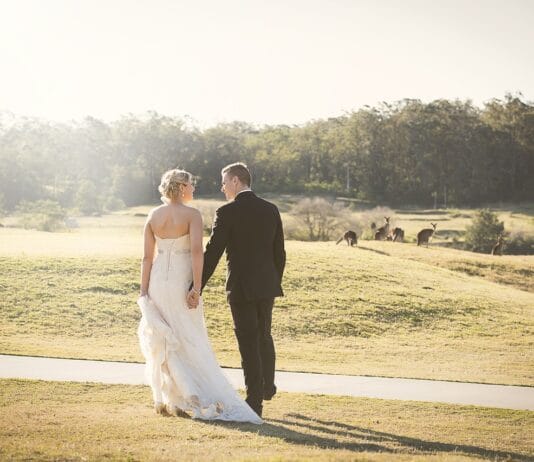 Czy winietki są obowiązkowe?