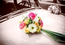 Kapelusze i fascynatory – nowy hit dla gości ślubnych