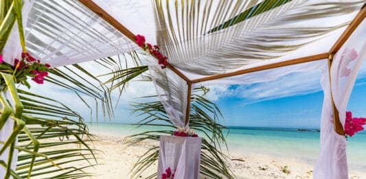 Projektory z mappingiem 3D – spektakularna dekoracja